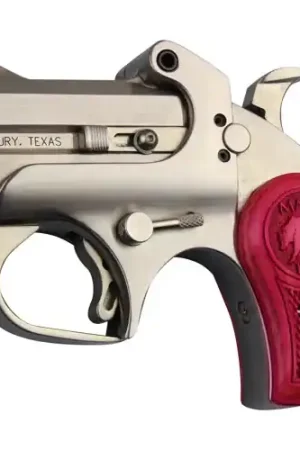 Secure Payment | BOND ARMS Mama Bear 9mm 2.5" 2rd - Stainless