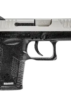 Clearance - DIAMONDBACK FIREARMS DB380 G4 380 ACP 2" 6rd Pistol - Two-Tone