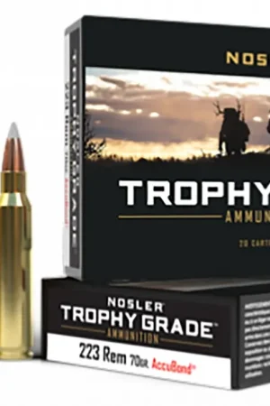 Act Fast - Nosler Match Grade .223 Remington
