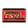 Barnes TSX - Low Price
