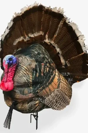 Montana Decoy Co. Wiley Tom 3D Decoy Full Strutting | Latest Arrival