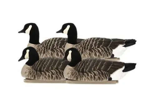 Avian-X AvianX Top Flight Lesser Floating Goose Decoys 4 Pack - Clearance