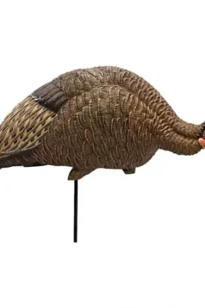 Buy Online | Mojo Outdoors Feeder Breeder Hen Turkey Decoy