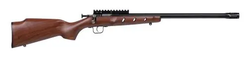Hot Deal | Keystone Sporting Arms Crickett Precision Rifle Compact .22 LR Blued Rifle