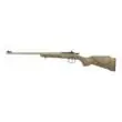 Keystone Sporting Arms Crickett .22 LR Stainless Tan Black Web Syn Stock - Last Chance