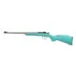 Keystone Sporting Arms Crickett .22 LR Gold Web Syn Stock Stainless Blue | Manufacturer Direct