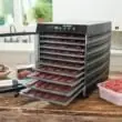 Hassle-Free Returns - LEM Products 10-Tray Plastic Dehydrator